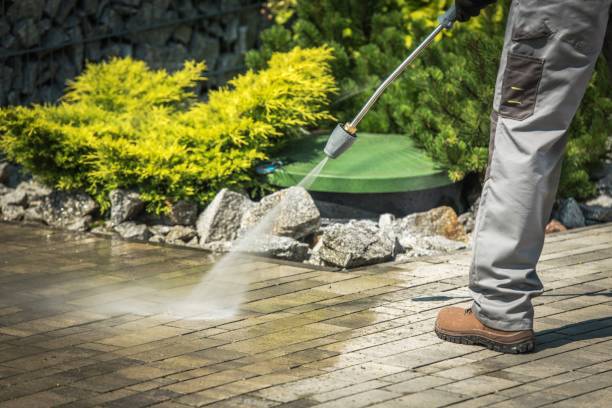 Best Playground Equipment Cleaning  in Royersford, PA